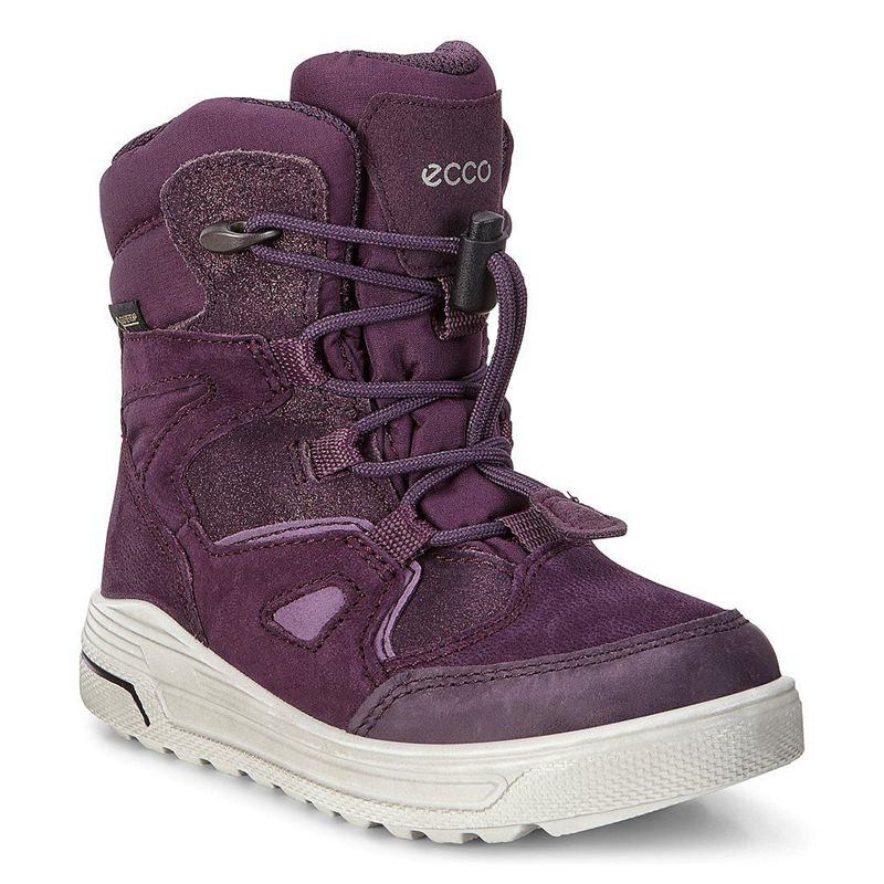 Kids Ecco Urban Snowboarder - Flats Shoe Purple - India JNFUVL804
